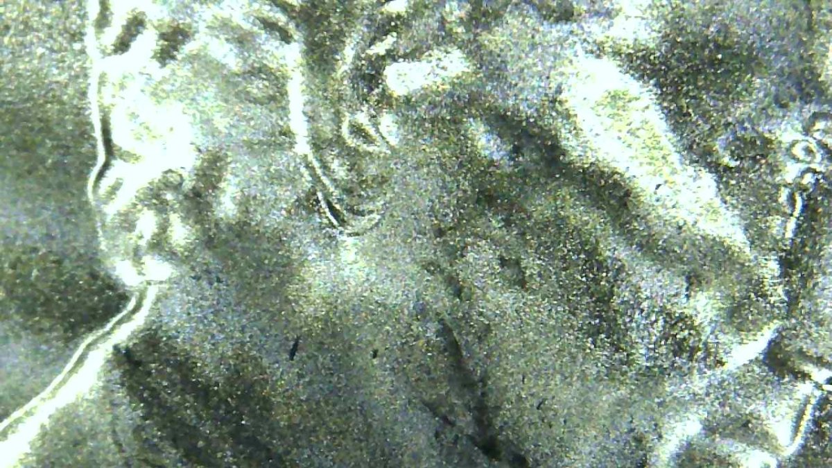 2021-D-Penny-Doubled-Ear?
